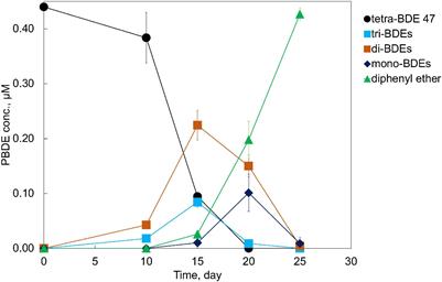 Microbial Debromination of Polybrominated Diphenyl Ethers by Dehalococcoides-Containing Enrichment Culture